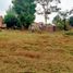  Grundstück zu verkaufen in Cimalaka, West Jawa, Cimalaka