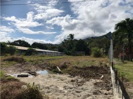  Terreno (Parcela) en venta en Barrio Colón, La Chorrera, Barrio Colón