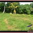  Land for sale in Selemadeg, Tabanan, Selemadeg