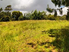  Terreno (Parcela) en venta en Sopo, Cundinamarca, Sopo