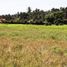  Land for sale in Sukawati, Gianyar, Sukawati