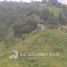  Land for sale in Sabaneta, Antioquia, Sabaneta