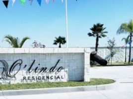  Grundstück zu verkaufen in Irapuato, Guanajuato, Irapuato