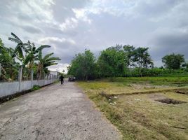  Land for sale in Yogyakarta, Kalasan, Sleman, Yogyakarta