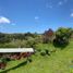 41 Bedroom Villa for sale in San Vicente, Antioquia, San Vicente