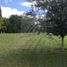  Land for rent in Pesqueria, Nuevo Leon, Pesqueria