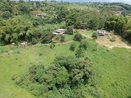  Land for sale in Pereira, Risaralda, Pereira