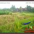  Land for sale in Ubud, Gianyar, Ubud