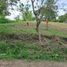  Land for sale in Dosquebradas, Risaralda, Dosquebradas