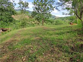  Land for sale in Dosquebradas, Risaralda, Dosquebradas