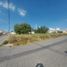  Terreno (Parcela) en venta en San Agustin Tlaxiaca, Hidalgo, San Agustin Tlaxiaca