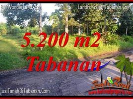  Land for sale in Selemadeg, Tabanan, Selemadeg