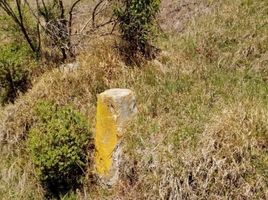  Grundstück zu verkaufen in Pachuca De Soto, Hidalgo, Pachuca De Soto