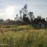  Land for sale in Ixtlahuacan De Los Membrillos, Jalisco, Ixtlahuacan De Los Membrillos