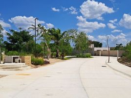 在Progreso, Yucatan出售的 土地, Progreso
