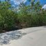 在Progreso, Yucatan出售的 土地, Progreso