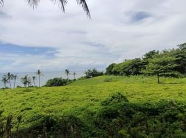  Land for sale in Selemadeg, Tabanan, Selemadeg