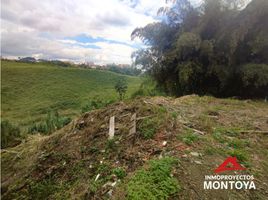  Land for sale in Dosquebradas, Risaralda, Dosquebradas