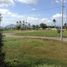  Terreno (Parcela) en venta en Nasugbu, Calabarzon, Nasugbu