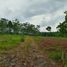  Land for sale in Pekalongan, Jawa Tengah, Kajem, Pekalongan