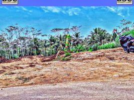  Land for sale in Malang Regency, East Jawa, Kepanjen, Malang Regency