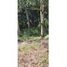  Land for sale in Chiriqui, Palmira, Boquete, Chiriqui