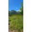  Land for sale in Chiriqui, Palmira, Boquete, Chiriqui