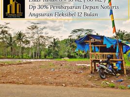  Land for sale in Kepanjen, Malang Regency, Kepanjen