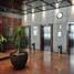 300 m² Office for rent in Miguel Hidalgo, Mexico City, Miguel Hidalgo