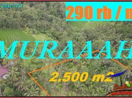  Land for sale in Selemadeg, Tabanan, Selemadeg