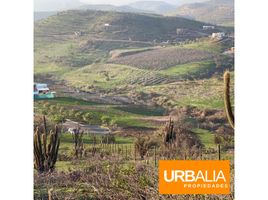  Terrain for sale in Colina, Chacabuco, Colina