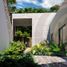Studio Haus zu verkaufen in Cozumel, Quintana Roo, Cozumel