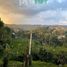  Land for sale in Bandung, West Jawa, Sumurbandung, Bandung