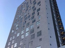 산 페드로 가자 가르시아, 누에 보 레온PropertyTypeNameBedroom, 산 페드로 가자 가르시아