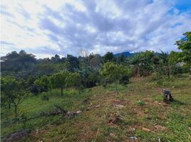  Grundstück zu verkaufen in Boquete, Chiriqui, Palmira