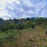  Land for sale in Chiriqui, Palmira, Boquete, Chiriqui