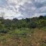  Land for sale in Chiriqui, Palmira, Boquete, Chiriqui