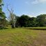  Land for sale in Pereira, Risaralda, Pereira