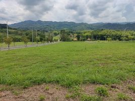  Terreno (Parcela) en venta en Caldas, Risaralda, Caldas