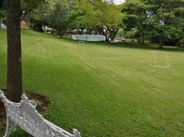 在Coatepec, Veracruz出售的 土地, Coatepec
