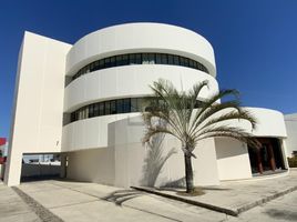 300 m2 Office for rent in Tamaulipas, Tampico, Tamaulipas