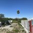  Land for sale in Juarez, Nuevo Leon, Juarez