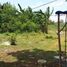 Terreno (Parcela) en venta en Lapu-Lapu City, Central Visayas, Lapu-Lapu City, Cebu
