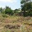  Terreno (Parcela) en venta en Lapu-Lapu City, Central Visayas, Lapu-Lapu City, Cebu