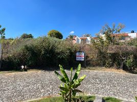  Grundstück zu verkaufen in Huitzilac, Morelos, Huitzilac