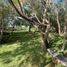  Terreno (Parcela) en venta en Othon P Blanco, Quintana Roo, Othon P Blanco