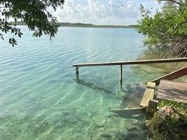  Terreno (Parcela) en venta en Othon P Blanco, Quintana Roo, Othon P Blanco