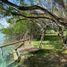  Terreno (Parcela) en venta en Othon P Blanco, Quintana Roo, Othon P Blanco