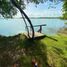  Terreno (Parcela) en venta en Othon P Blanco, Quintana Roo, Othon P Blanco