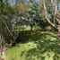  Terreno (Parcela) en venta en Othon P Blanco, Quintana Roo, Othon P Blanco